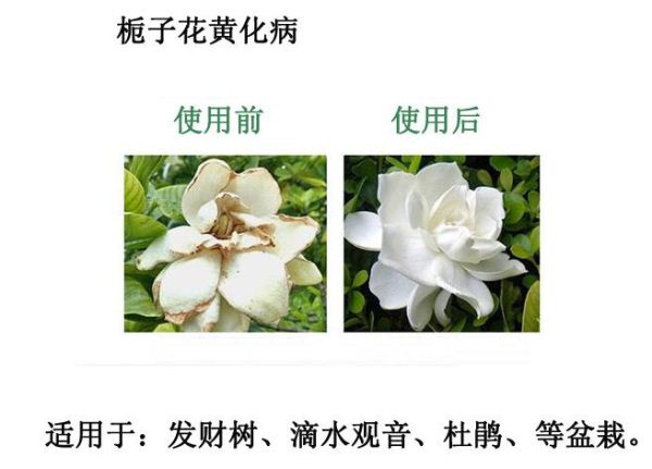 ���၆�F�����ЙC���ڻ����ϵ�Ч��չ�F��������Ϣ����ԃ13838587319