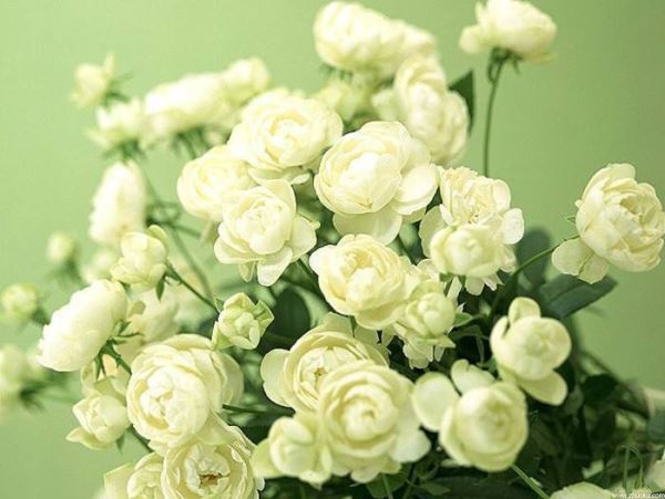 ����S�Ҍ��I(y��)���a(ch��n)���၆�F�Ƕ����꣬��(j��ng)��S�����a(ch��n)Ʒ�|(zh��)���^�P(gu��n)���gӭ�xُ���Ԓ��13838587319 �O��(j��ng)��