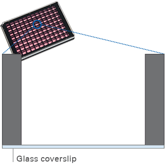 e272041ff4cb8bd65cbdd2e52cddc331.gif