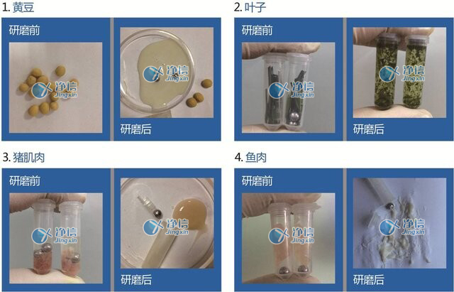 全自動樣品快速研磨儀 型號:JXFSTPRP-24